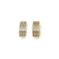 Pendientes bicolor
